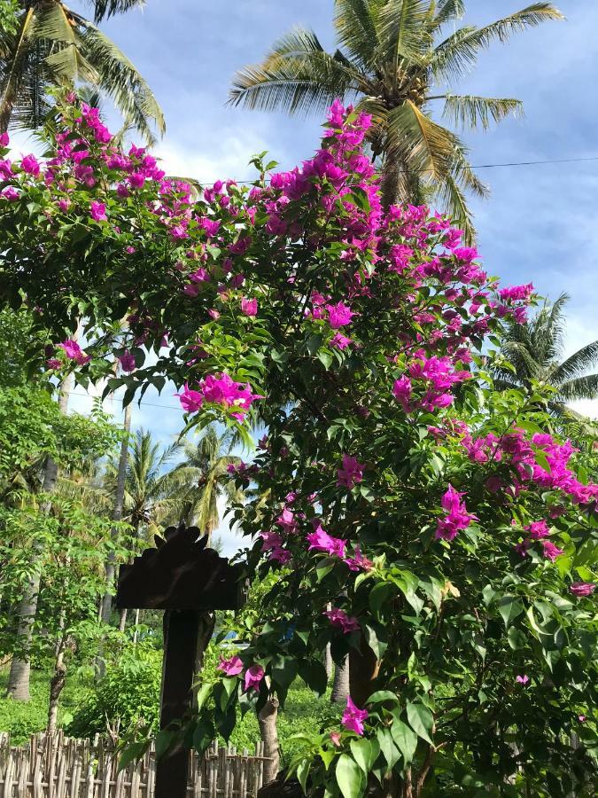 Meno Madia Bungalows Gili Meno Εξωτερικό φωτογραφία
